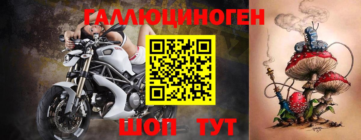Галлюциногенные грибы мухоморы Гусев