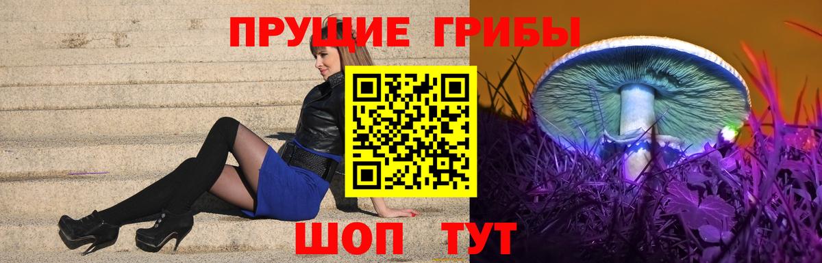 Гусев  Псилоцибиновые грибы Psilocybe  Вход с VPN 